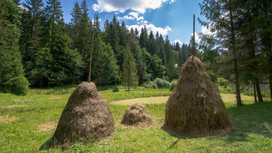 Амбар с сеном