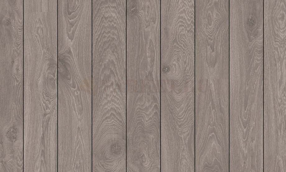 Classen Progressive 44279 груша Кордоба