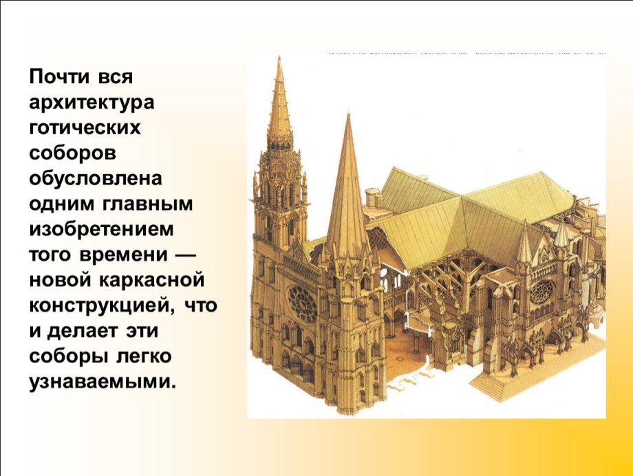 Кельнский собор разрез