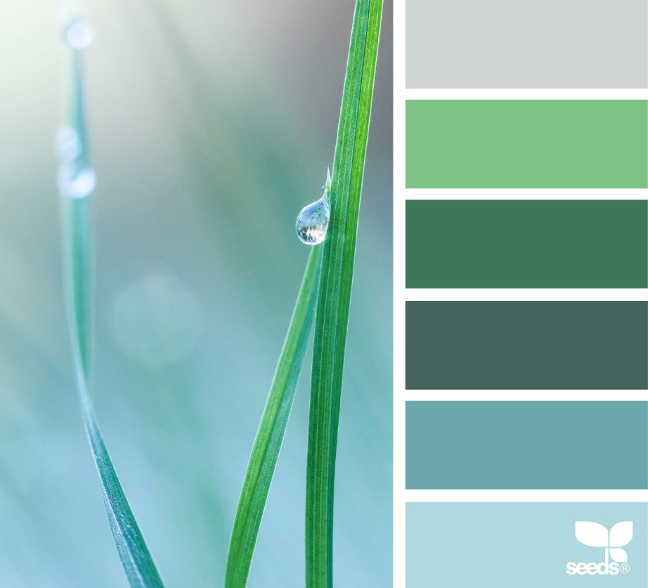 Seeds Color Palette изумрудный