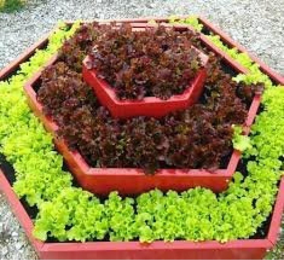 Круглая клумба из кирпича