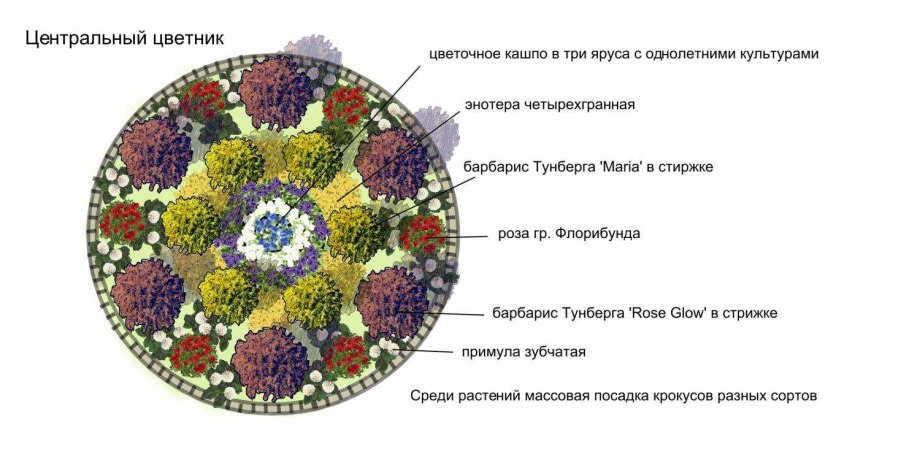 Миксбордер из однолетников схемы