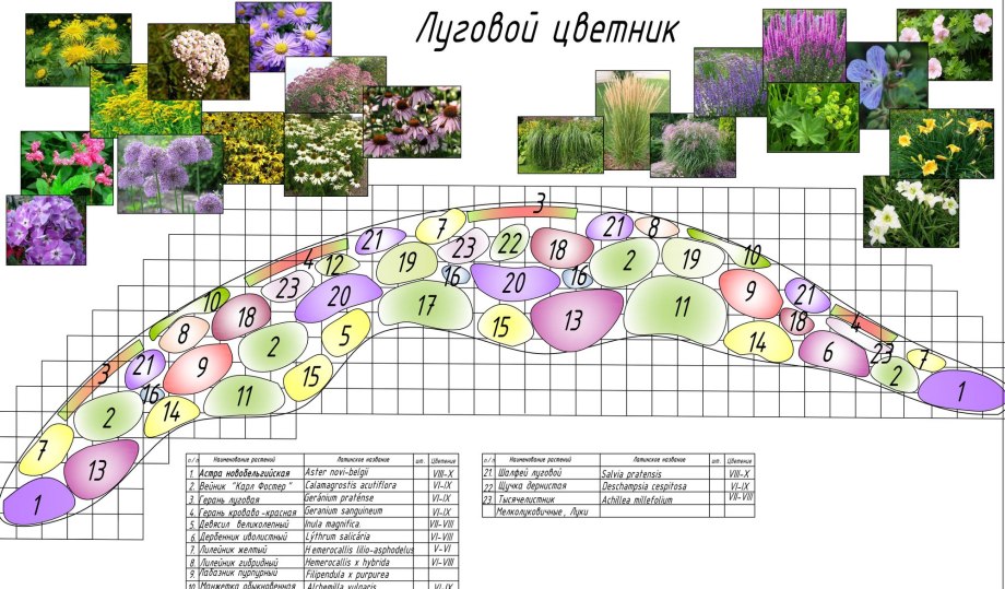 Проекты клумб и цветников
