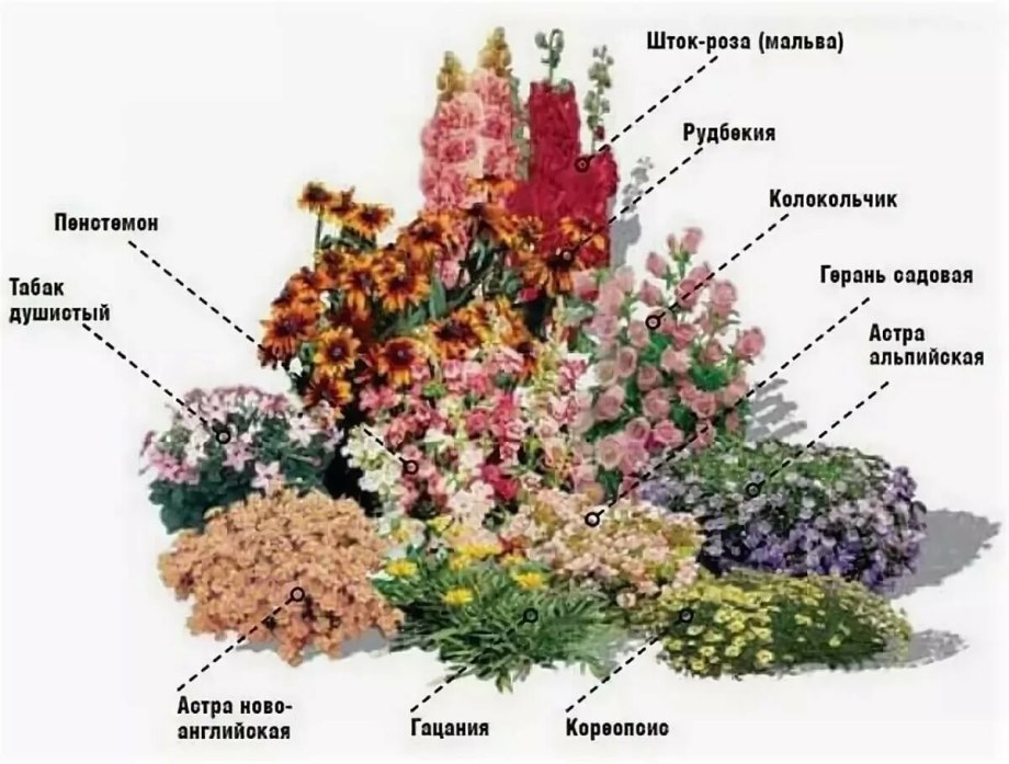 Клумба с чубушником и спиреей