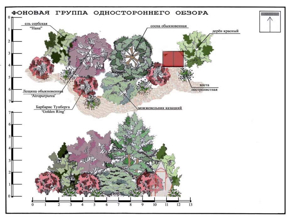 Клумбы миксбордеры непрерывного цветения