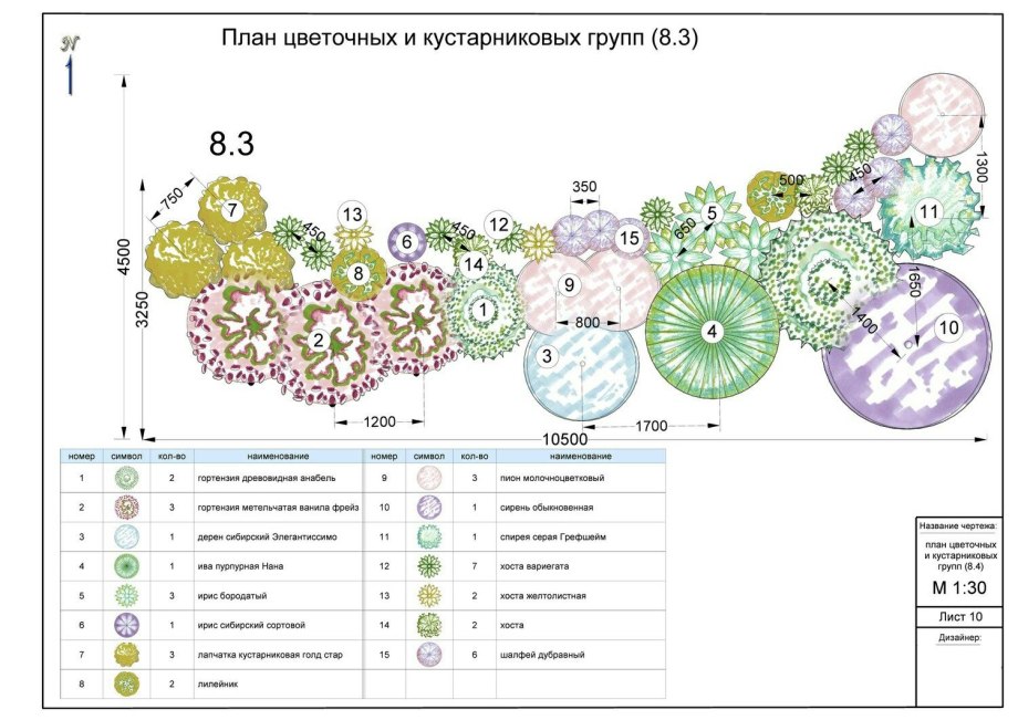 Миксбордер из многолетников и однолетников схема