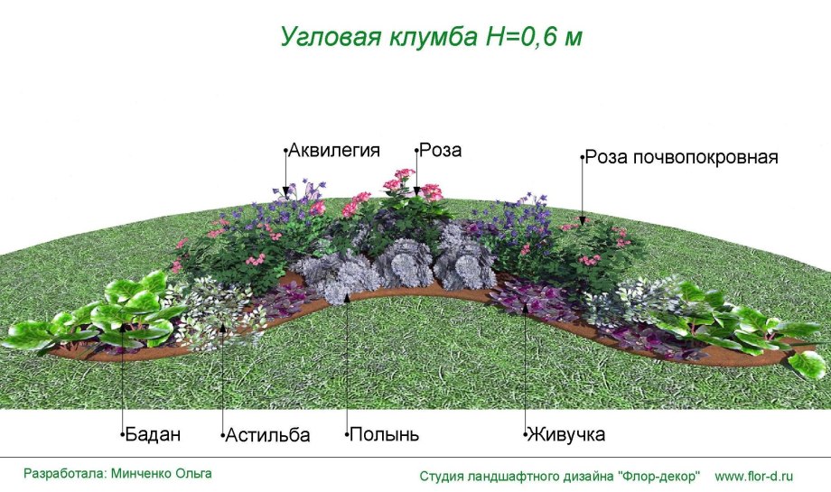 Миксбордеры в ландшафтном дизайне схемы