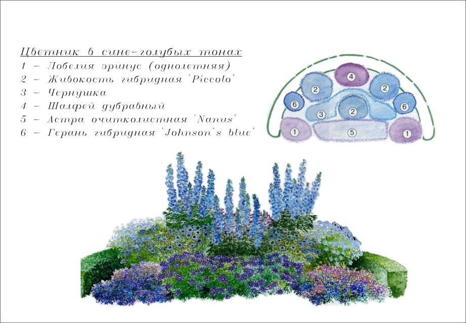 Схема посадки клумб, миксбордеров