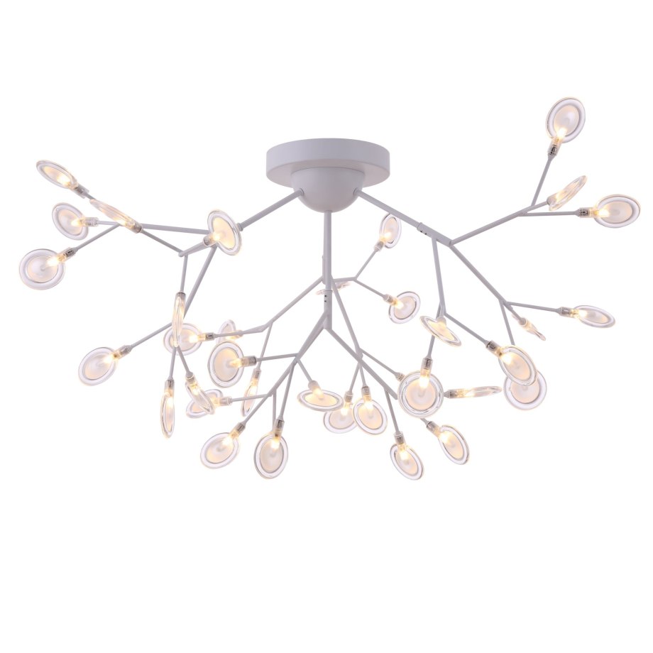 Freya Florencia fr5049cl-36w