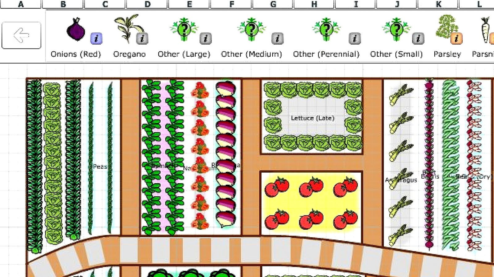 Схема огорода овощей. Схемы посадок овощей на грядках. План огорода. Схема посадки огорода. Расположение грядок на участке схема.