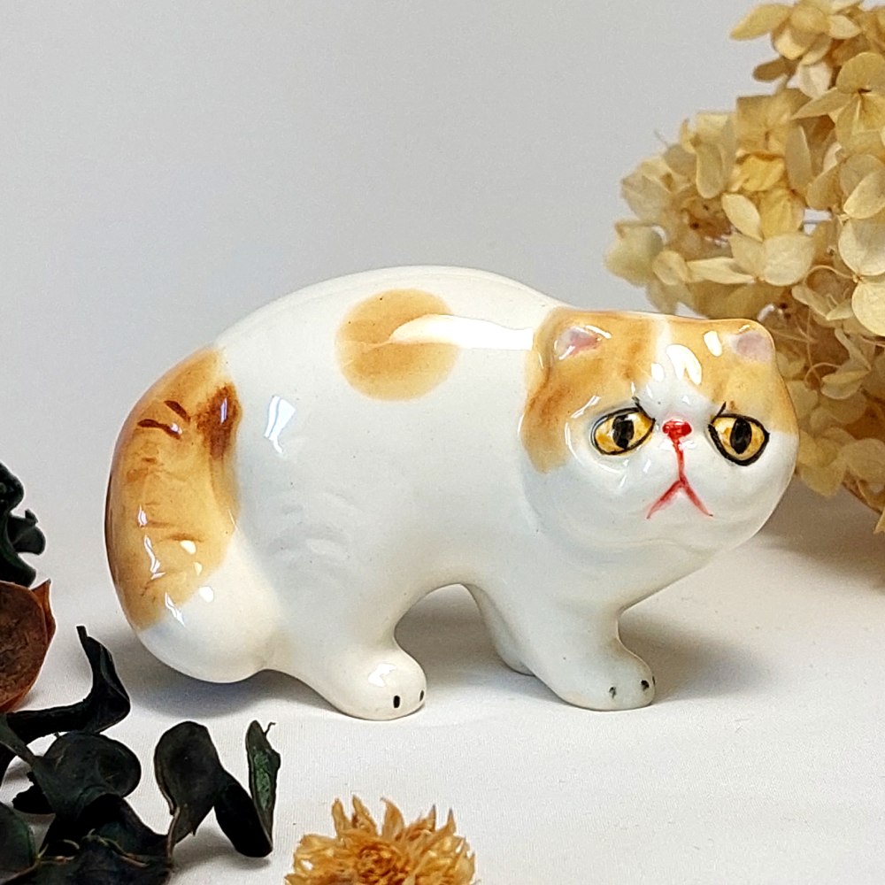 Экзотическая кошка