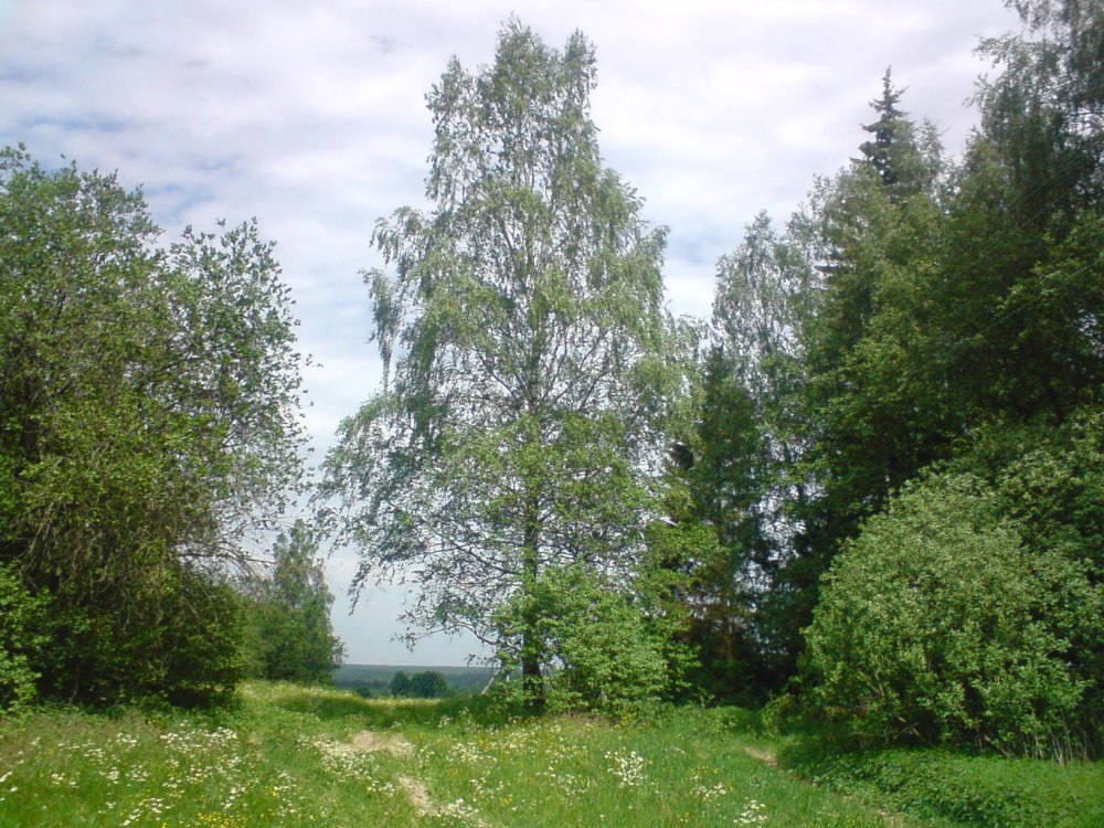 Село Ирининское Московской области